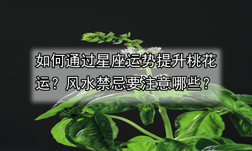 如何通过星座运势提升桃花运？风水禁忌要注意哪些？